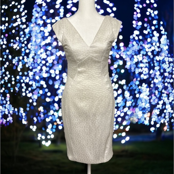 BHLDN Yoana Baraschi Metallic White Mini Dress - Picture 2 of 6